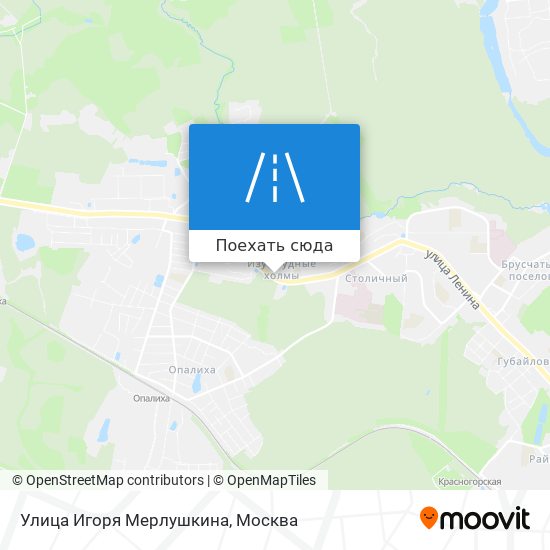 Карта Улица Игоря Мерлушкина