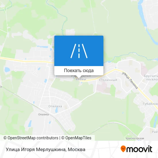 Карта Улица Игоря Мерлушкина