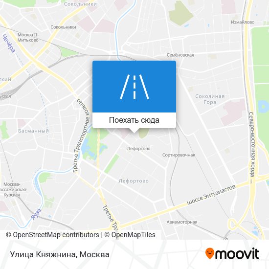 Карта Улица Княжнина