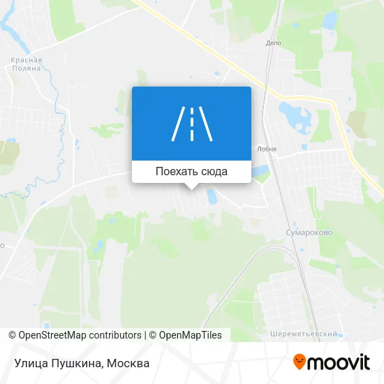 Карта Улица Пушкина