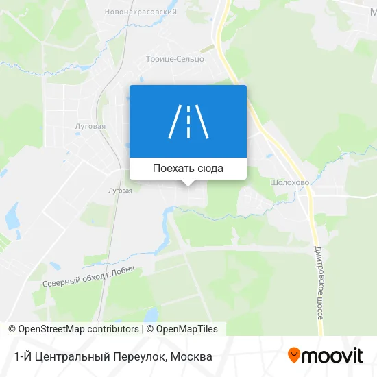 Карта 1-Й Центральный Переулок