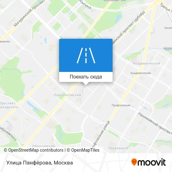 Карта Улица Панфёрова
