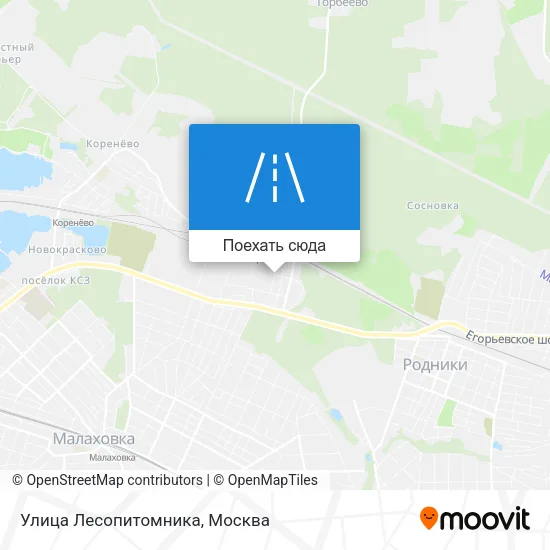 Карта Улица Лесопитомника