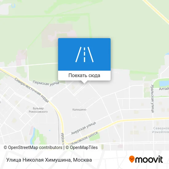 Карта Улица Николая Химушина