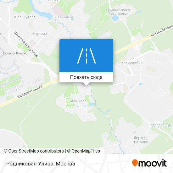 Карта Родниковая Улица