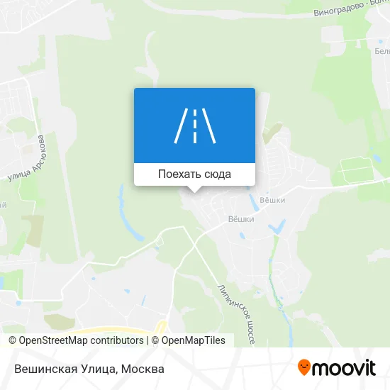 Карта Вешинская Улица
