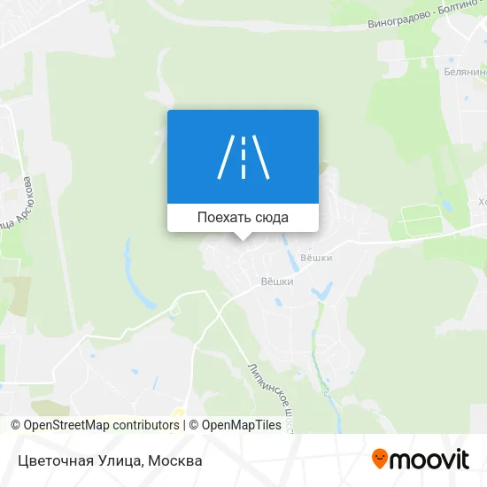 Карта Цветочная Улица