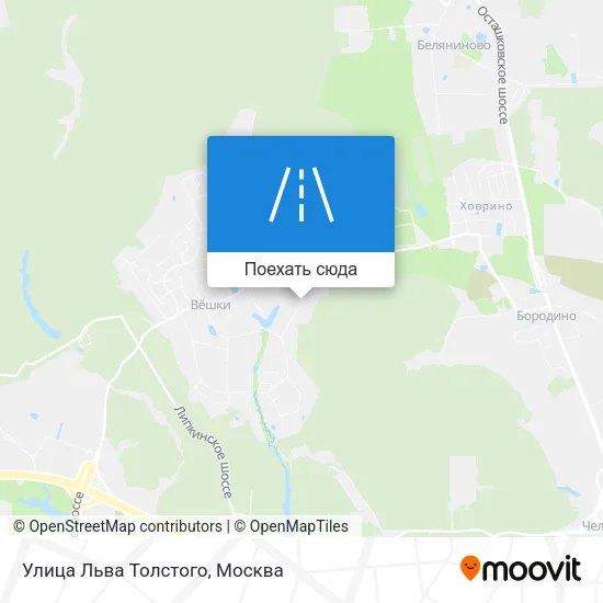 Карта Улица Льва Толстого