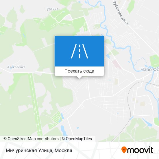 Карта Мичуринская Улица