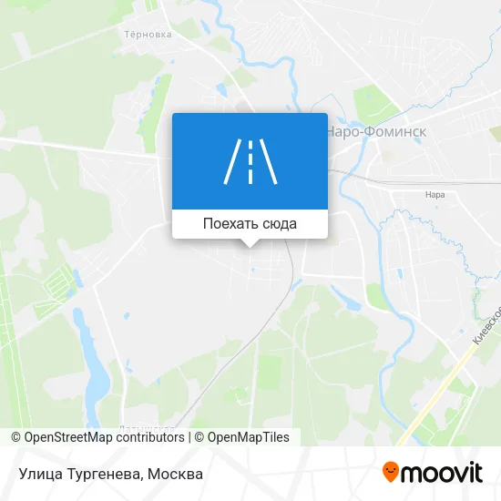 Карта Улица Тургенева