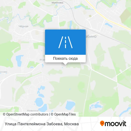 Карта Улица Пантелеймона Забоева