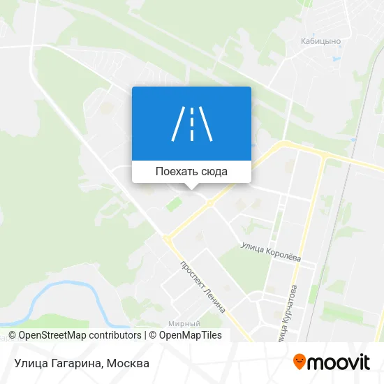 Карта Улица Гагарина