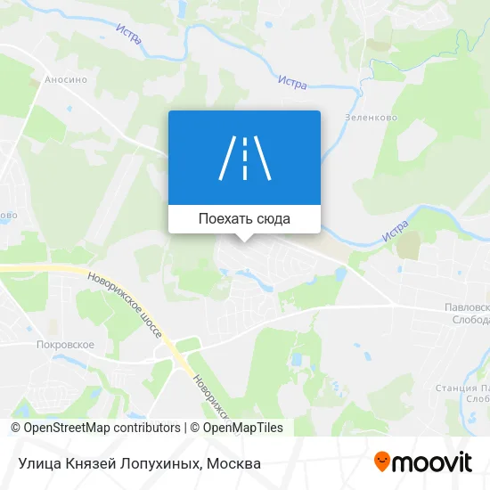 Карта Улица Князей Лопухиных