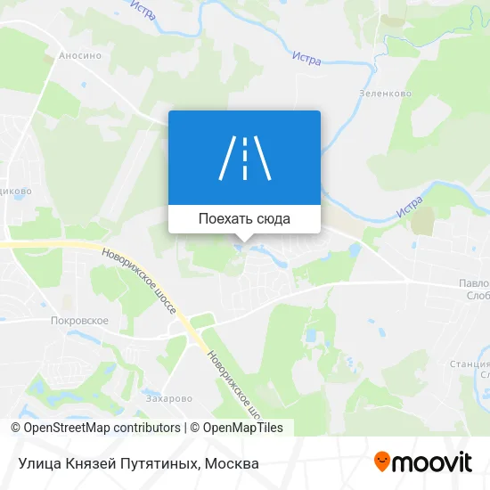 Карта Улица Князей Путятиных