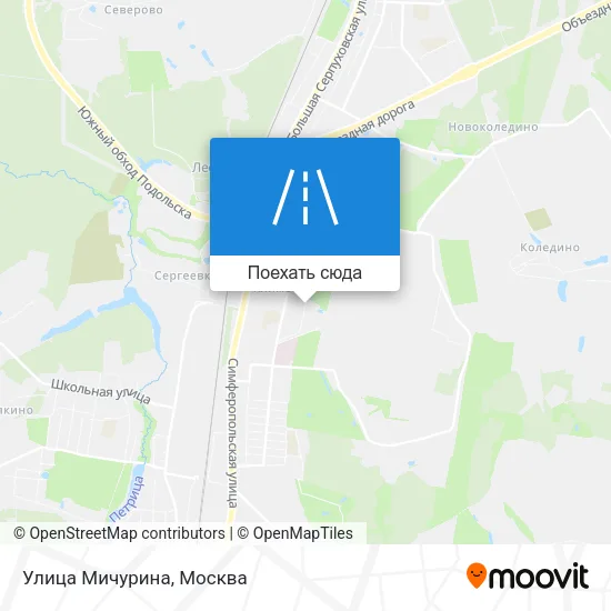 Карта Улица Мичурина