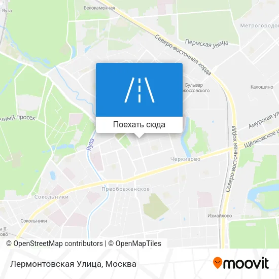 Карта Лермонтовская Улица