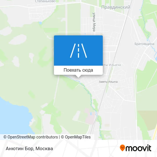 Карта Анютин Бор