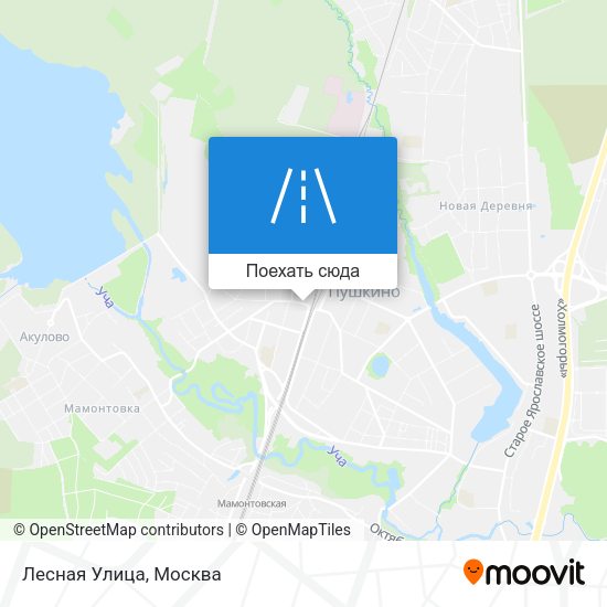 Карта Лесная Улица