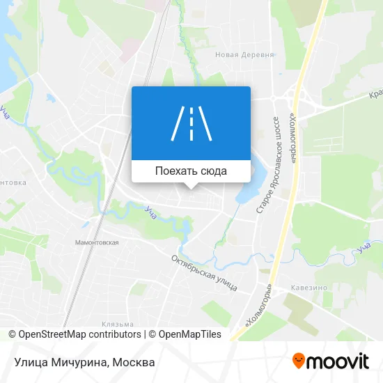 Карта Улица Мичурина