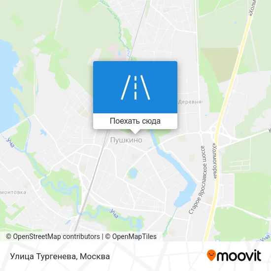 Карта Улица Тургенева