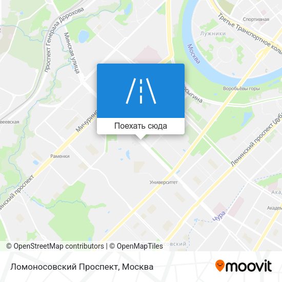 Карта Ломоносовский Проспект