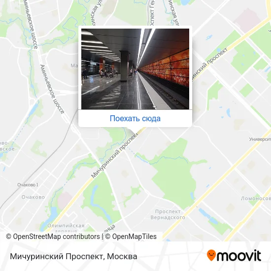 Карта Мичуринский Проспект