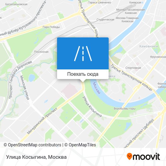 Карта Улица Косыгина
