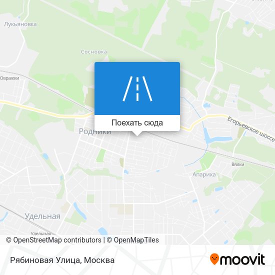 Карта Рябиновая Улица