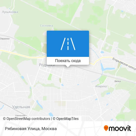 Карта Рябиновая Улица