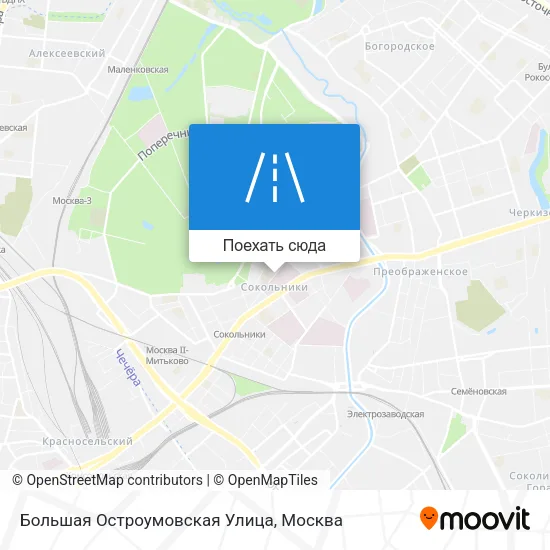 Карта Большая Остроумовская Улица