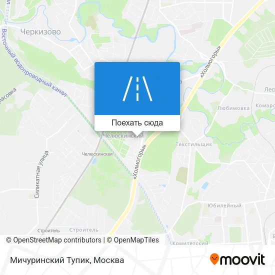 Карта Мичуринский Тупик