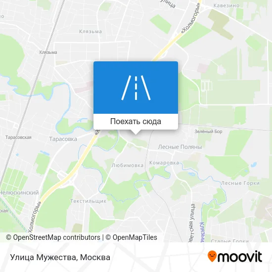Карта Улица Мужества
