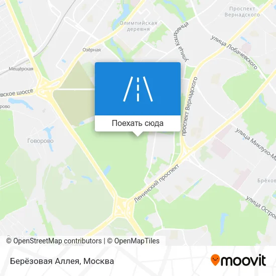 Карта Берёзовая Аллея