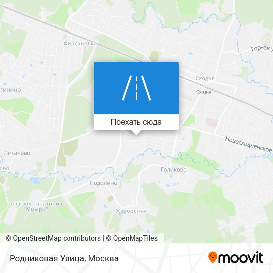 Карта Родниковая Улица