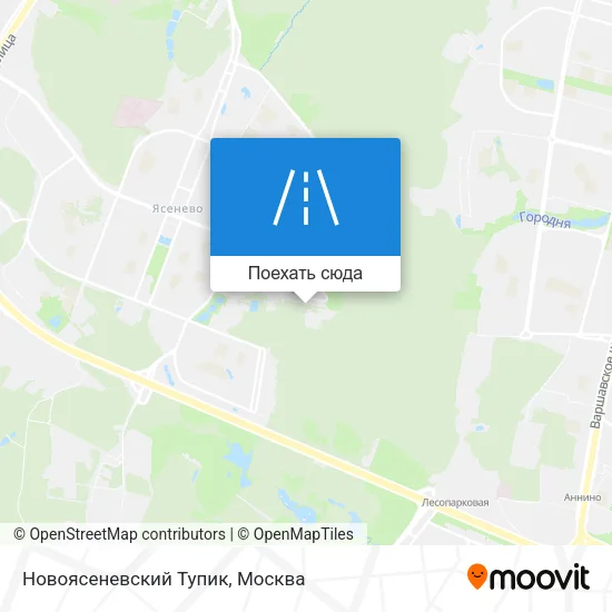 Карта Новоясеневский Тупик