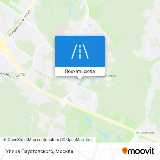 Карта Улица Паустовского