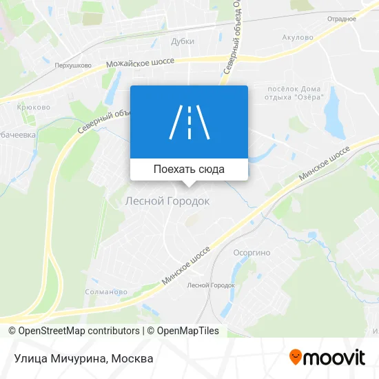 Карта Улица Мичурина