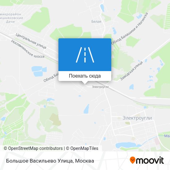Карта Большое Васильево Улица