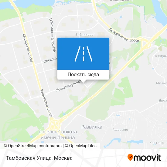 Карта Тамбовская Улица