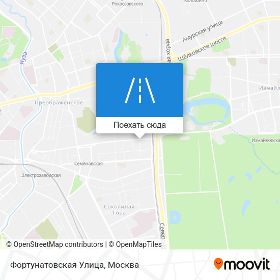 Карта Фортунатовская Улица