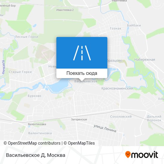 Карта Васильевское Д