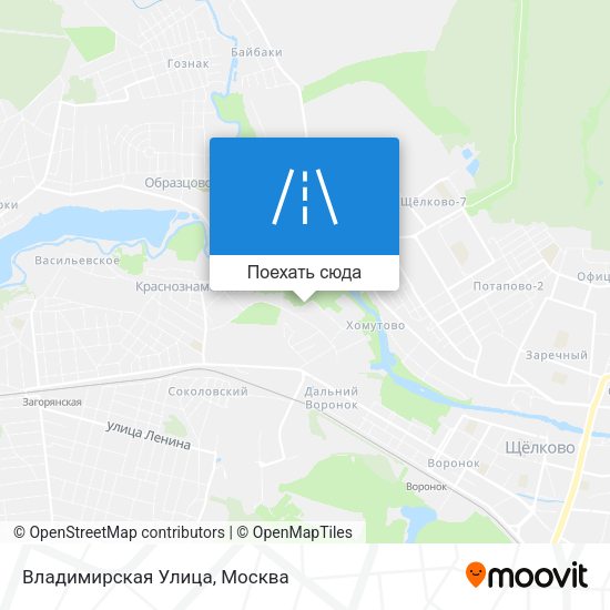 Карта Владимирская Улица