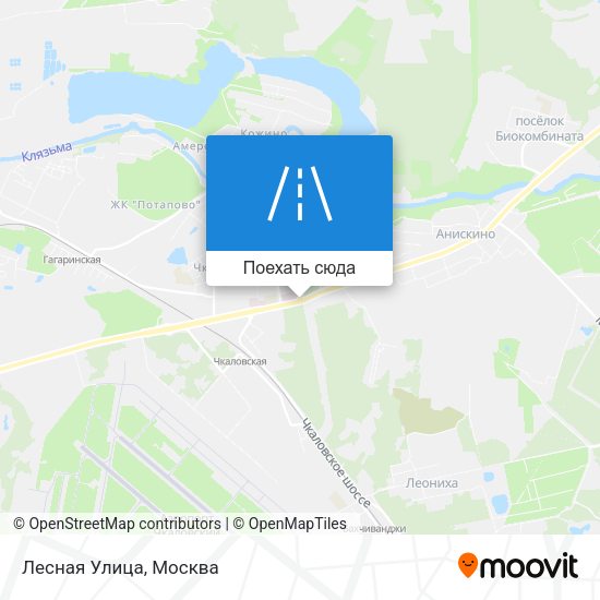 Карта Лесная Улица
