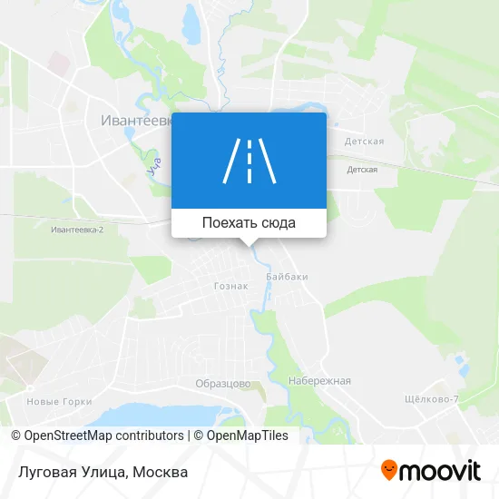 Карта Луговая Улица