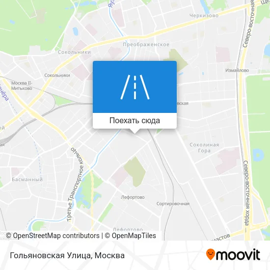 Карта Гольяновская Улица