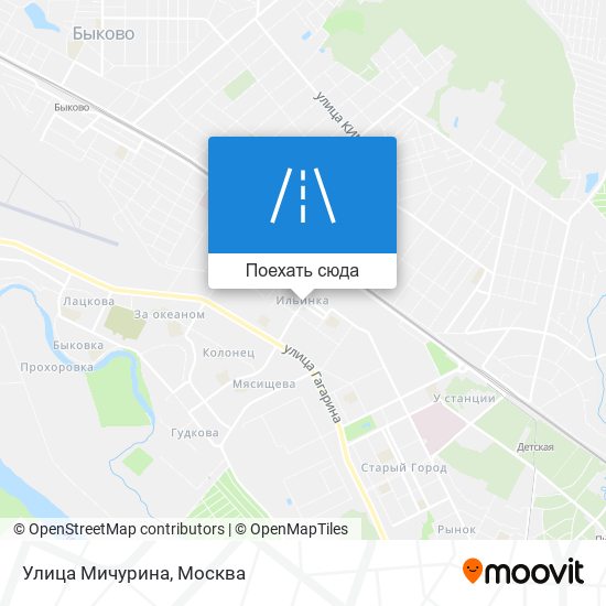 Карта Улица Мичурина