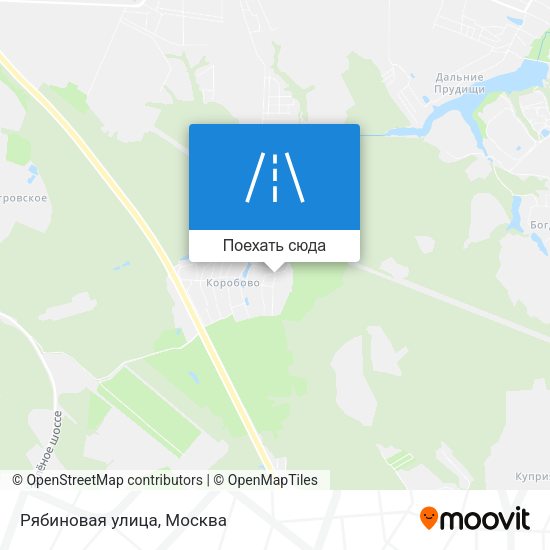 Карта Рябиновая улица