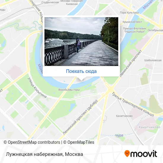 Карта Лужнецкая набережная