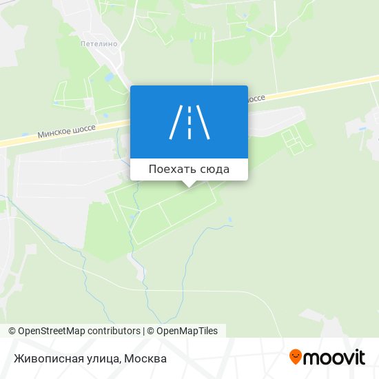 Карта Живописная улица