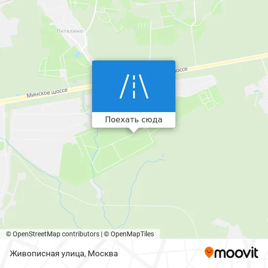 Карта Живописная улица